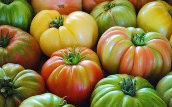 Tomate Heirloom