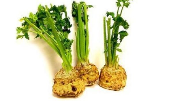 Celery Root